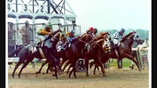 Secretariat Tribute-King of the Horses