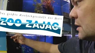 ZOO Zajac. Самый большой зоомагазин Европы