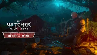 The Witcher 3  Wild Hunt EXTENDED OST  - Toussaint   Beauclair Castle   Combat | Blood and Wine