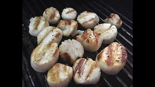 Luscious Scallops grilled to perfection