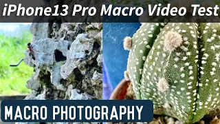 🍎iPhone 13 Pro Macro Lens Video Test (unedited, no tripod) Amazing Results!