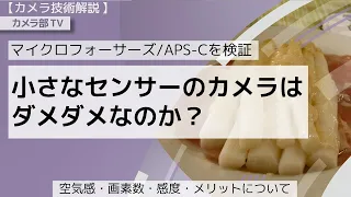 【カメラ技術解説】マイクロフォーサーズ/APS-Cを検証「小さなセンサーのカメラはダメダメなのか？」～空気感・画素数・感度・メリットについて～