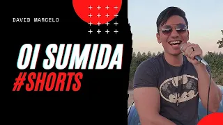 Oi Sumida - Vitor Fernandes e DJ Ivis | Cover