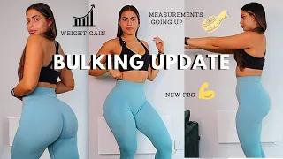 Everything You Need To Know When Bulking | Honest Update