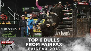 The Rankest Bulls from Fairfax | 2018