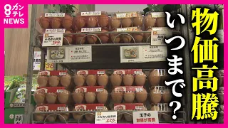 【物価高騰】今年「値上がり」の1年でした　日本の経済、来年はどうなる？　ポイントは「NISA」「運送業の働き方改革」「新紙幣の発行」　安田教授のキーワードは「本物の脱デフレ」【関西テレビ】