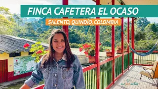 How is the ☕️ COFFEE TOUR of EL OCASO COFFEE FARM with ACCOMMODATION in SALENTO COLOMBIA