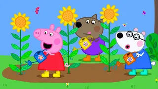 The Playgroup Garden 🌻 Best of Peppa Pig 🐷 Cartoons for Children