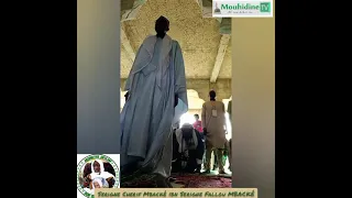 la visite de Serigne Chérif fils de Serigne Fallou MBACKE au Cheikh Ibrahima Mouhidine DIALLO
