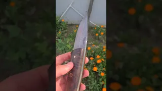 Handmade Damascus Buschraft Knife