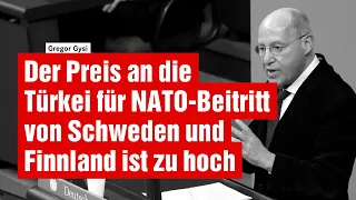 Der Preis an die Türkei für NATO-Beitritt von Schweden und Finnland ist zu hoch