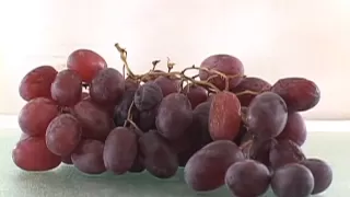 Grapes to Raisins Time Lapse