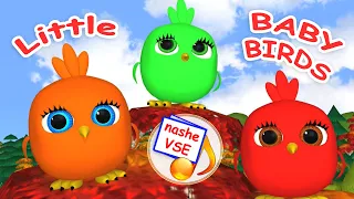 LITTLE BABY BIRDS. Kids TOON song / Nursery rhymes. YarMin St.