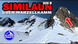 Similaun Marzellkamm | DIE BESSERE ALTERNATIVE ZUM NORMALWEG #bergsteigen #hochtour #ötztal