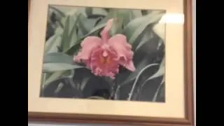 Vagina Flower