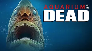 Aquarium of the Dead / Music video