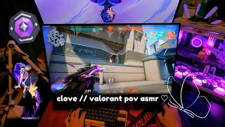 Clove is the new meta duelist in VALORANT ?! // lo-fi keyboard pov asmr