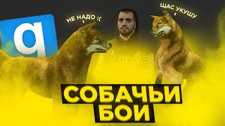 ОТЫГРАЛ НЕЛЕГАЛЬНЫЕ БОИ | Дарк РП будни Garry's Mod