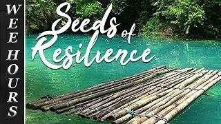 Where To Park The Raft?: Seeds Of Resilience