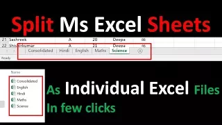 How To Split Excel Sheets Into Separate Files | Session 6