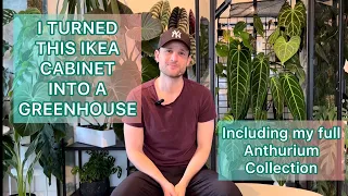Ikea Greenhouse Cabinet tour & My Anthurium Collection