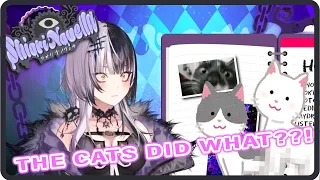 Advent's Shiori Tells The Cat Story...