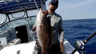 DEEP DROPPING FLORIDA: SNOWY GROUPER IN 500+ FEET