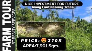 #99|#available | 🤩Only ₱370,000.00 | 40% Flat | 60% Slightly Hilly | 40 Pcs Coconut Trees✓Signal