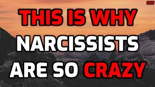 THIS IS WHY Narcissists Are So CRAZY [RAW]