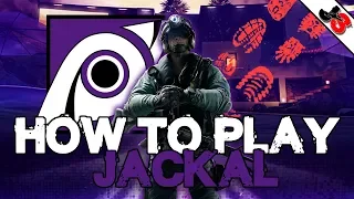 How To Play Jackal | Rainbow Six Siege Operator Tutorial
