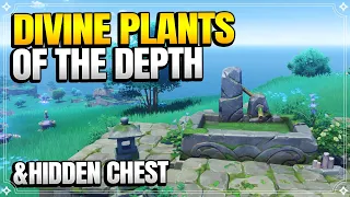 Divine Plants of The Depth + Sequel | World Quests and Puzzles |【Genshin Impact】