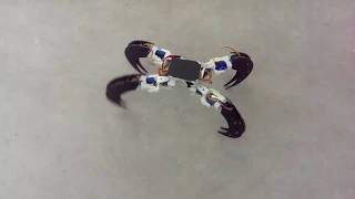 Scorpio: A Bio-inspired Rolling-Crawling-Wall Climbing Robot