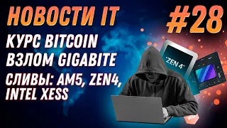 Новости IT: Bitcoin, Alder Lake, AMD Zen4 c RDNA2, AM5, AMD 3D V Cache  RDNA 4, RX 6600, Intel XeSS