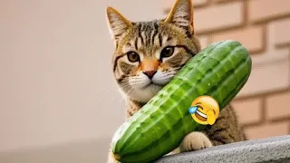 😻🐕 Best Cats Videos 🐱🤣 Best Funny Animals 2024 #16