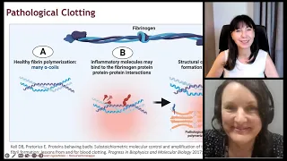 Vascular pathology in post-viral conditions: the role of Microclots