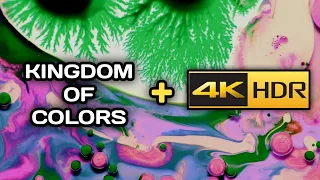 4K HDR Video 60 fps - Kingdom of Colors in 4K HDR || LG QNED Mini LED 4K ||