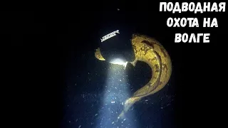 НОЧНАЯ ПОДВОДНАЯ ОХОТА НА ВОЛГЕ