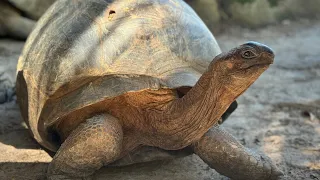 Day 129 of 180 Days Around the World Cruise - Moyenne Island, Seychelles