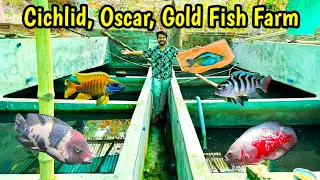 Satosvisha Fish Farm Kolkata❤️| Cichlids and Goldfish Farm🔥 | Tropical Fish Farm in india Kolkata