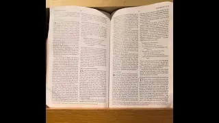 Genesis CH 15 ESV Version