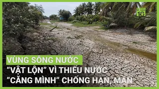 Miền Nam vật lộn với hạn, xâm nhập mặn, thiếu nước sinh hoạt | VTC16