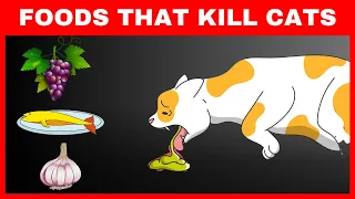 10 Deadliest food for Cats