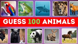 Guess 100 animals 🐸🦉🐋 | different types of animal in the world
