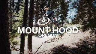 Mount Hood Mountain Bike Life