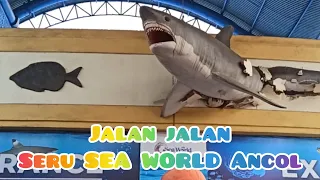 Ikan di SEAWORLD | Ancol ikan pari ikan HIU Ubur ubur | Aquarium Besar | jalan jalan PART 1 seru