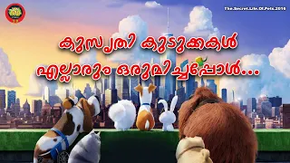 കൂട്ടുകാരനെ തേടി പോകുന്ന കുഞ്ഞന്മാർ