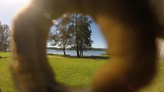 Kookaburra slow-mo landings