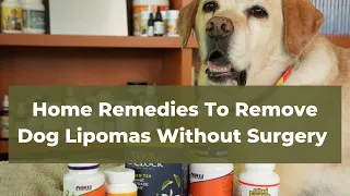 Home Remedies for Dogs: 5 NATURAL TREATMENTS for Fatty Tumors That Actually Work