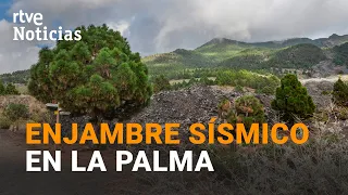 Así rastrean y vigilan la actividad sísmica en LA PALMA los técnicos de INVOLCÁN | RTVE Noticias