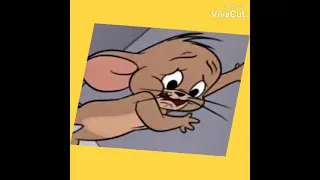 12 sec edit Tom and Jerry
